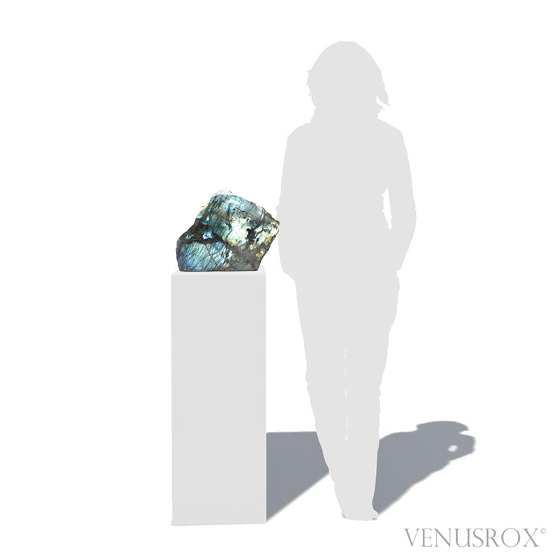 Labradorite Part Polished/Part Natural Freeform from Madagascar | Venusrox