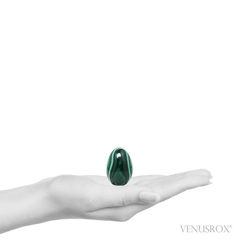 Malachite Polished Egg from the Democratic Republic of Congo | Venusrox