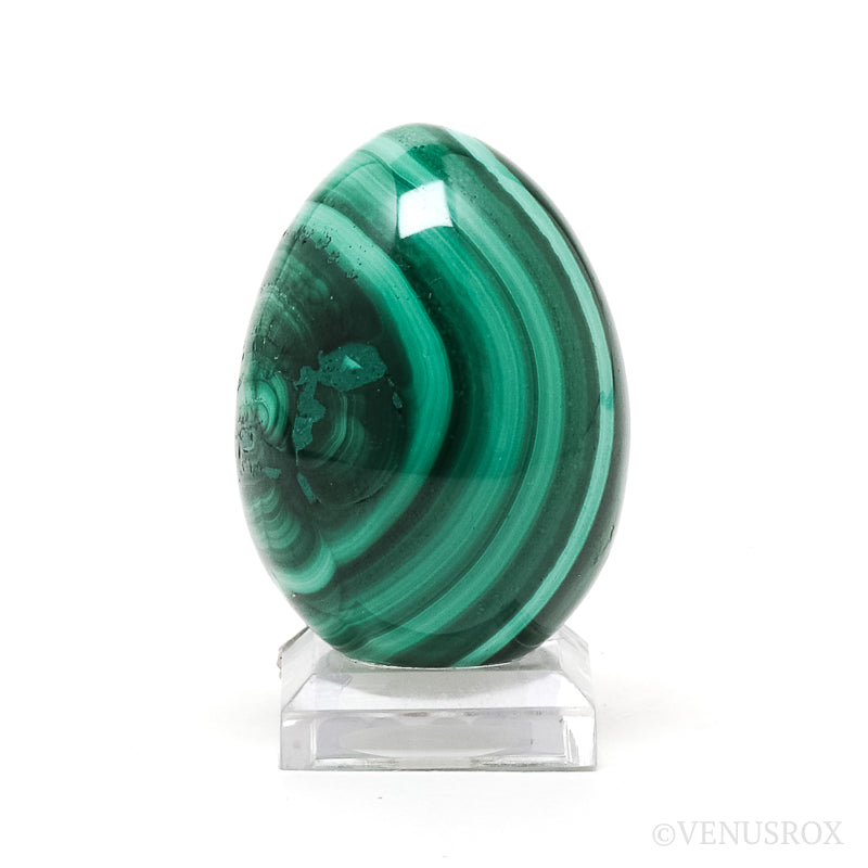 Malachite Polished Egg from the Democratic Republic of Congo | Venusrox