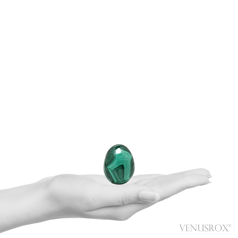 Malachite Polished Egg from the Democratic Republic of Congo | Venusrox