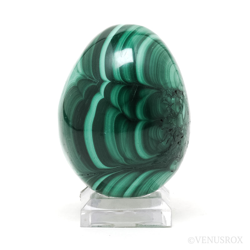 Malachite Polished Egg from the Democratic Republic of Congo | Venusrox