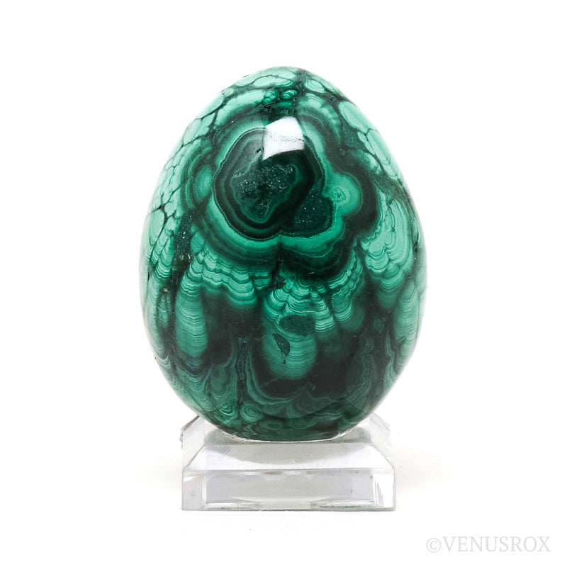Malachite Polished Egg from the Democratic Republic of Congo | Venusrox