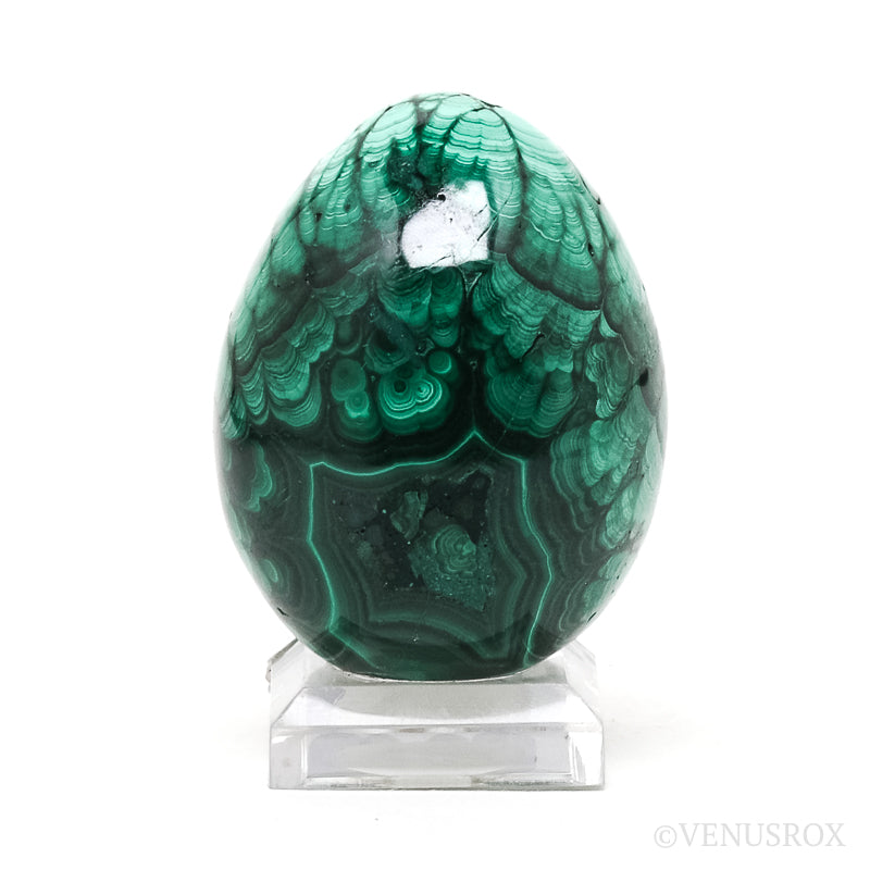 Malachite Polished Egg from the Democratic Republic of Congo | Venusrox
