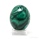 Malachite Polished Egg from the Democratic Republic of Congo | Venusrox