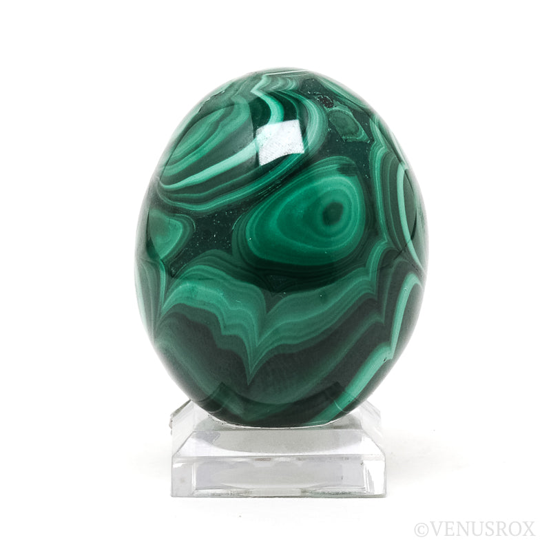 Malachite Polished Egg from the Democratic Republic of Congo | Venusrox