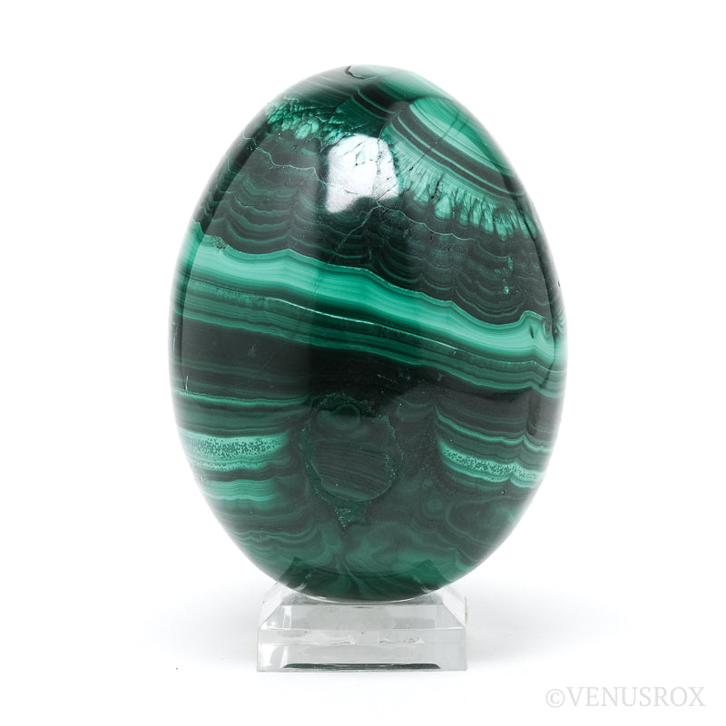 Malachite Polished Egg from the Democratic Republic of Congo | Venusrox