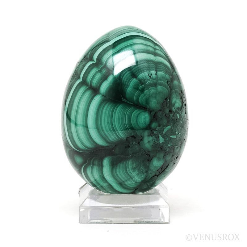 Malachite Polished Egg from the Democratic Republic of Congo | Venusrox