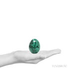 Malachite Polished Egg from the Democratic Republic of Congo | Venusrox