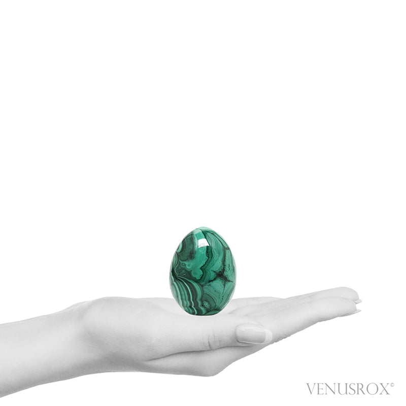 Malachite Polished Egg from the Democratic Republic of Congo | Venusrox