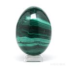 Malachite Polished Egg from the Democratic Republic of Congo | Venusrox