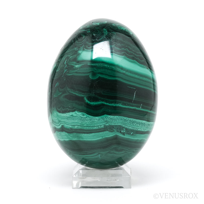 Malachite Polished Egg from the Democratic Republic of Congo | Venusrox