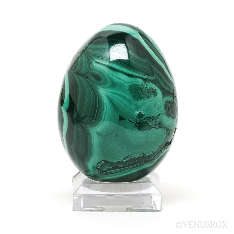 Malachite Polished Egg from the Democratic Republic of Congo | Venusrox