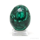 Malachite Polished Egg from the Democratic Republic of Congo | Venusrox