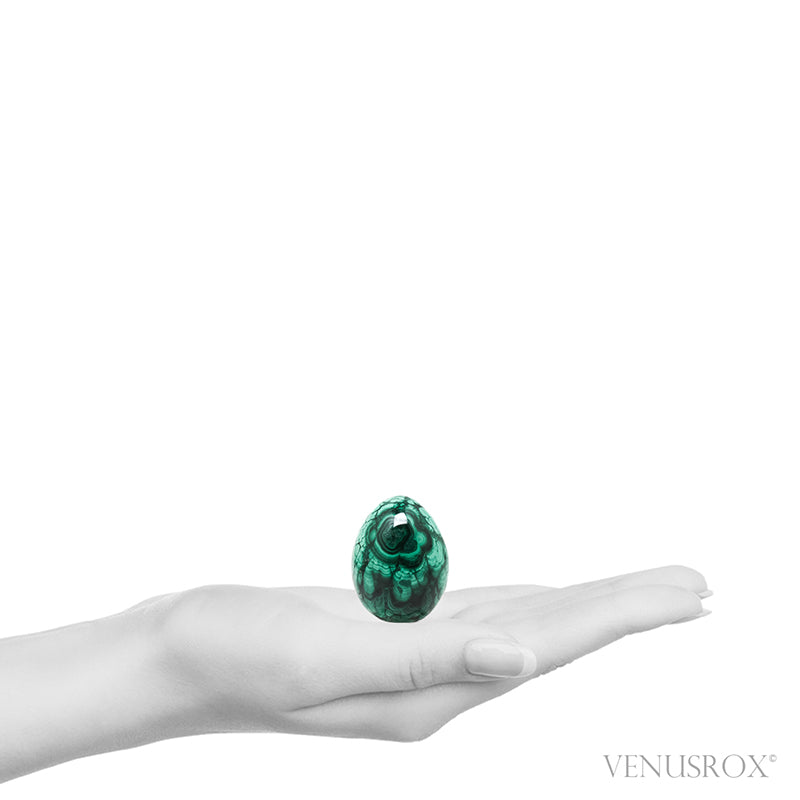Malachite Polished Egg from the Democratic Republic of Congo | Venusrox