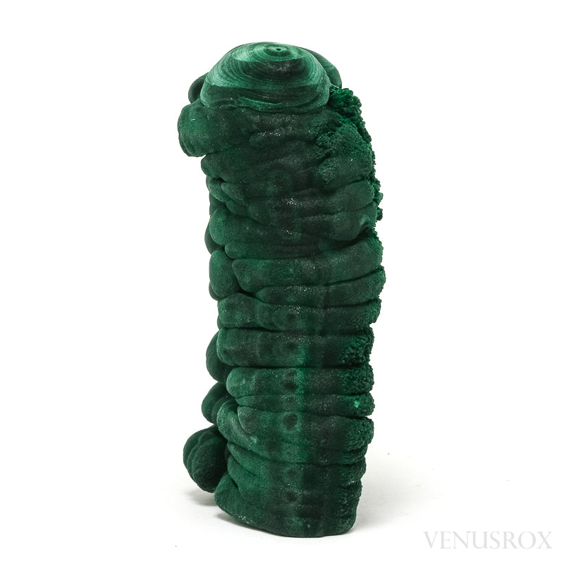 Malachite Natural Stalactite from the Shilu Mine, Yangchun County, Guangdong Province, China | Venusrox