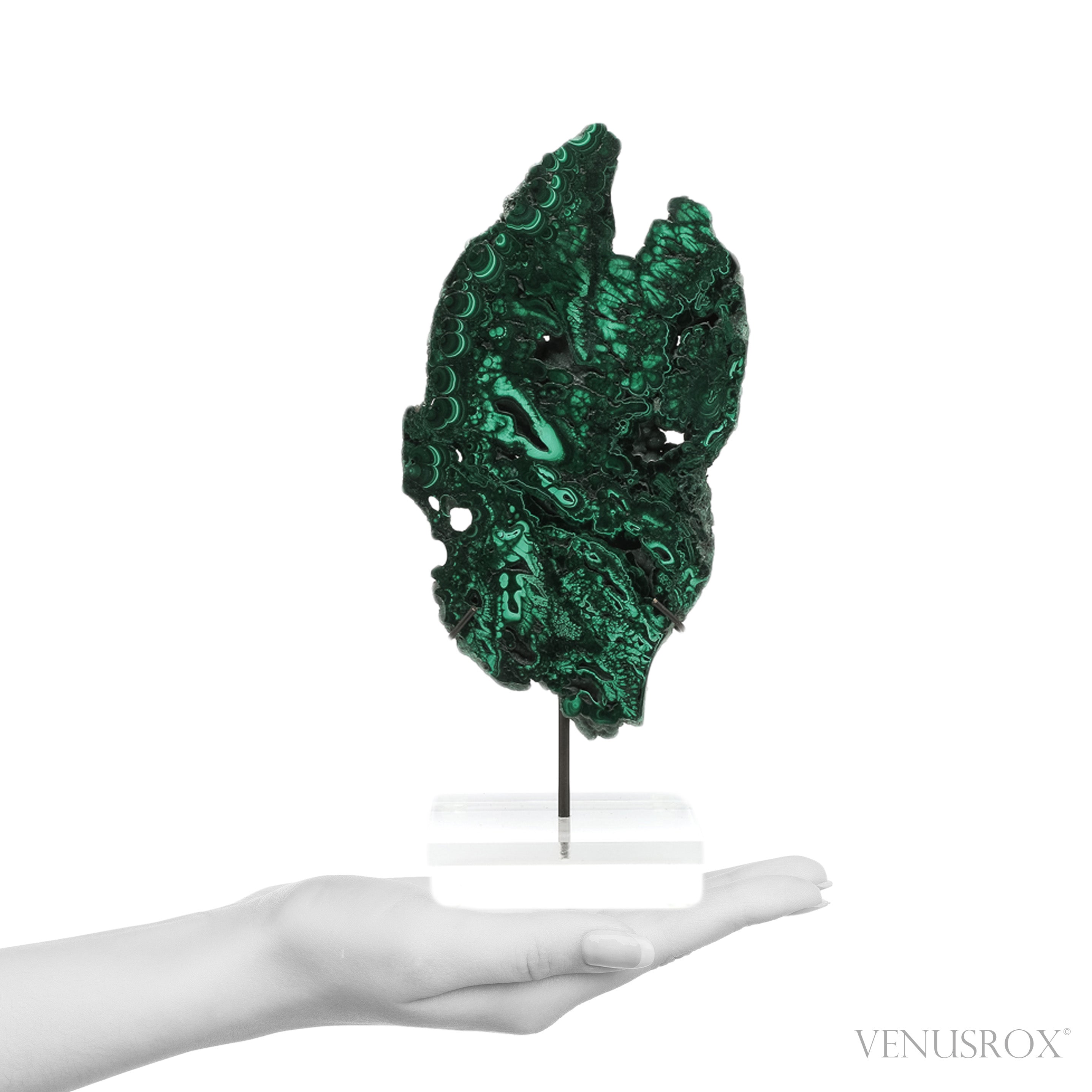 Malachite Slice | Venusrox