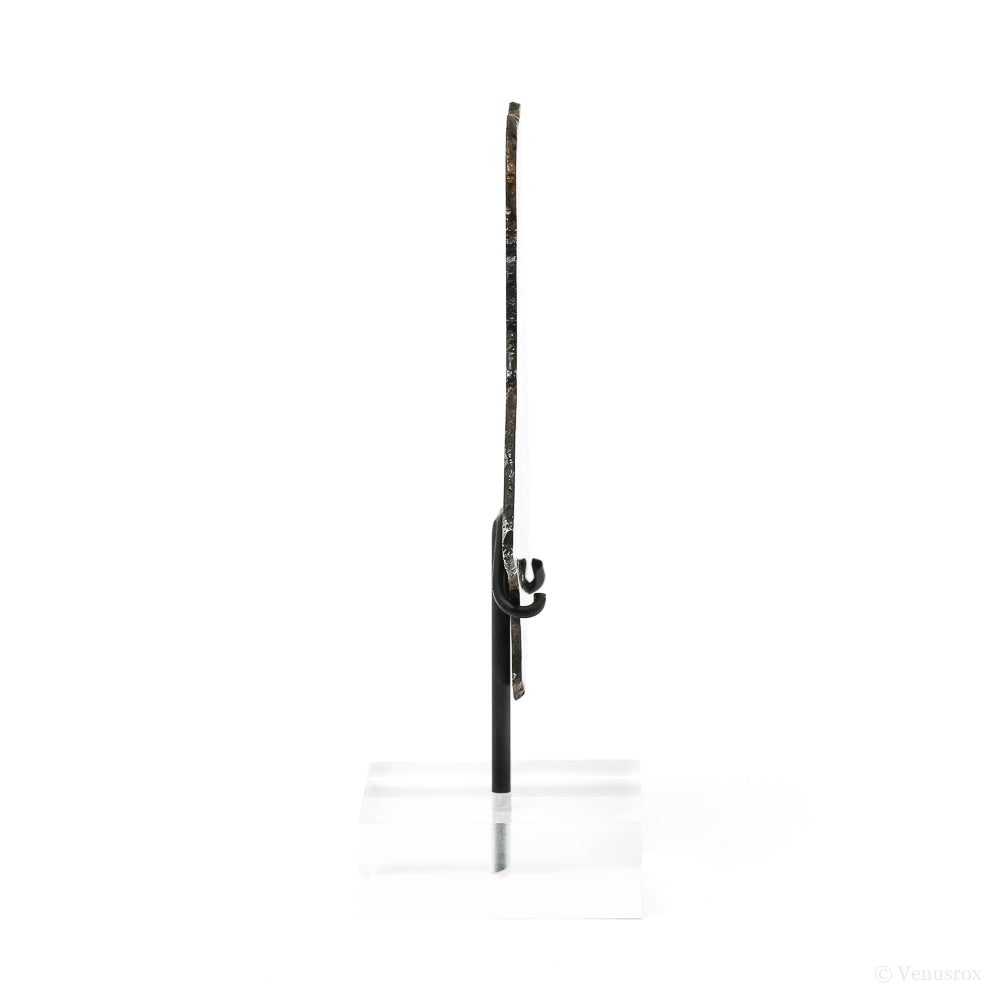 Seymchan Pallasite Meteorite Polished Slice from the Hekandue River, Jasačnaja, Magadan District, Russia mounted on a bespoke stand | Venusrox