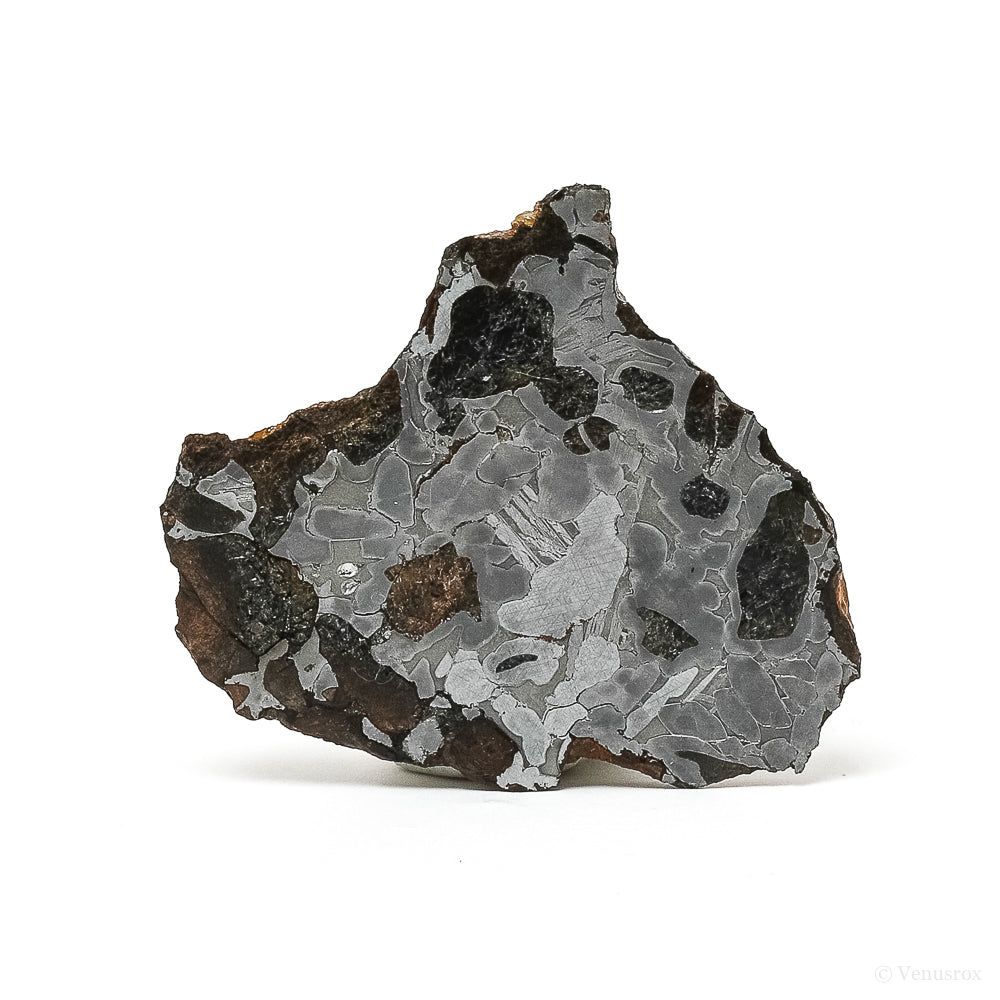 METEORITE (SEYMCHAN PALLASITE) POLISHED SLICE - METEORITES