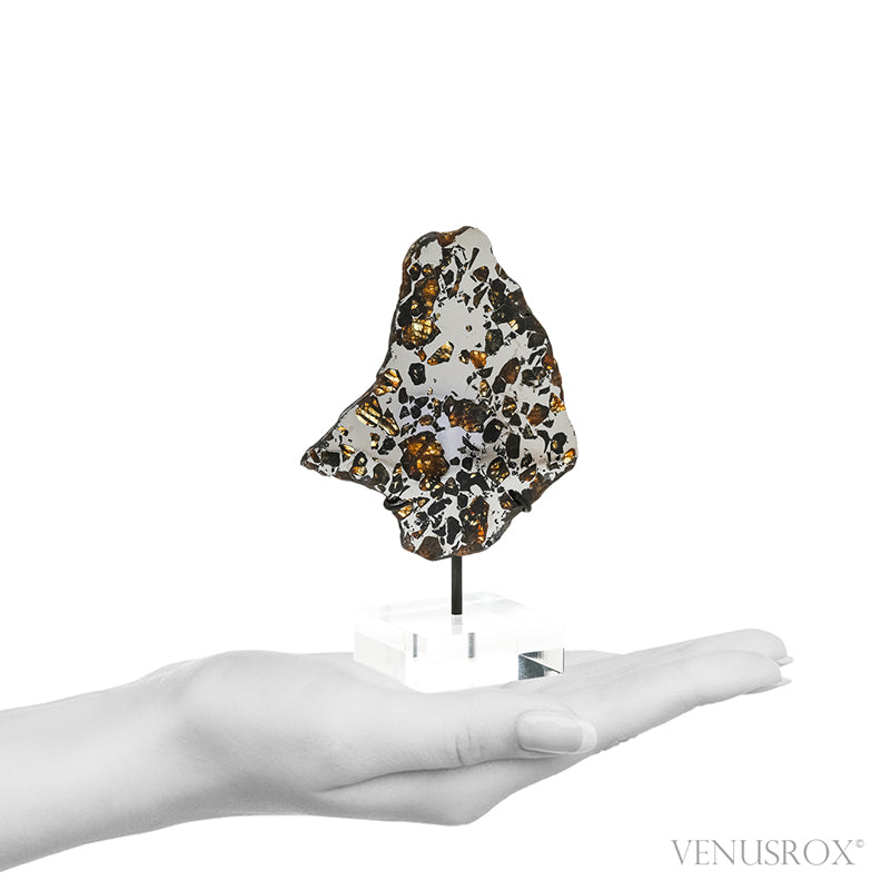 Seymchan Pallasite Meteorite Polished Slice from the Hekandue River, Jasačnaja, Magadan District, Russia mounted on a bespoke stand | Venusrox