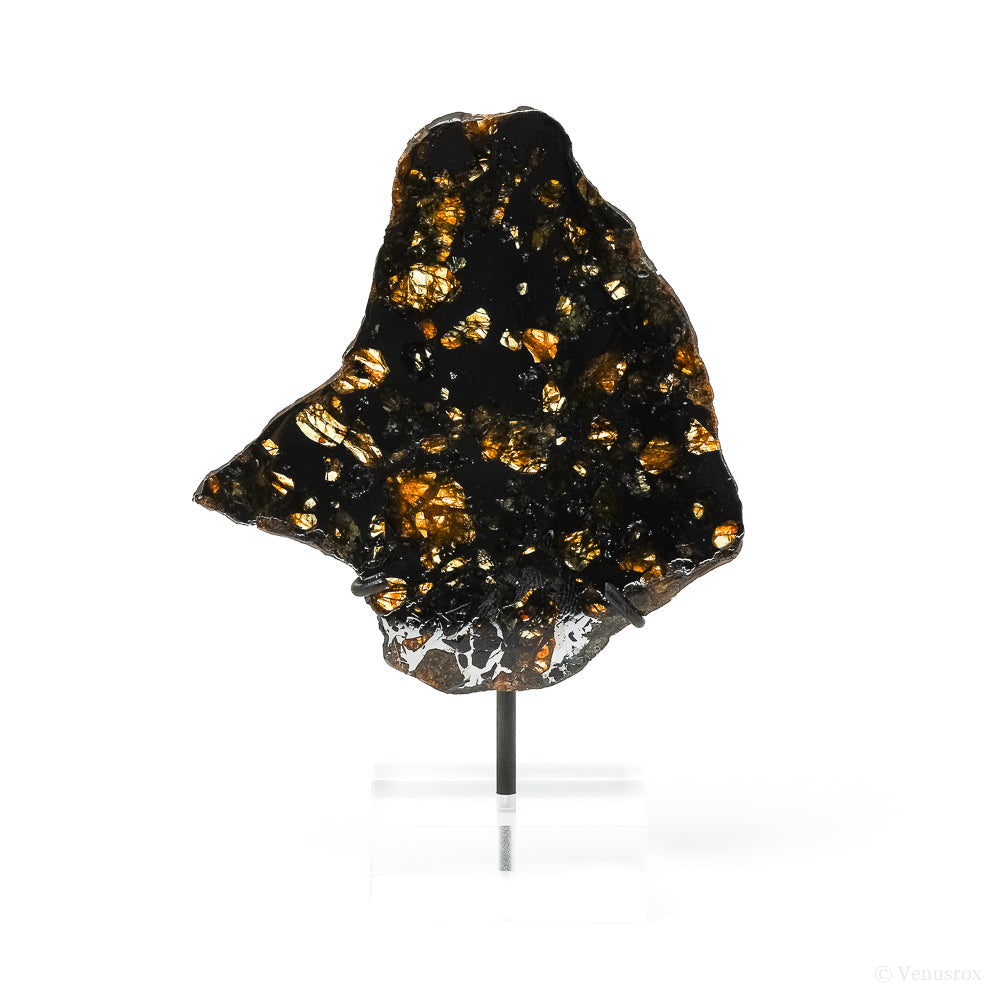 Seymchan Pallasite Meteorite Polished Slice from the Hekandue River, Jasačnaja, Magadan District, Russia mounted on a bespoke stand | Venusrox
