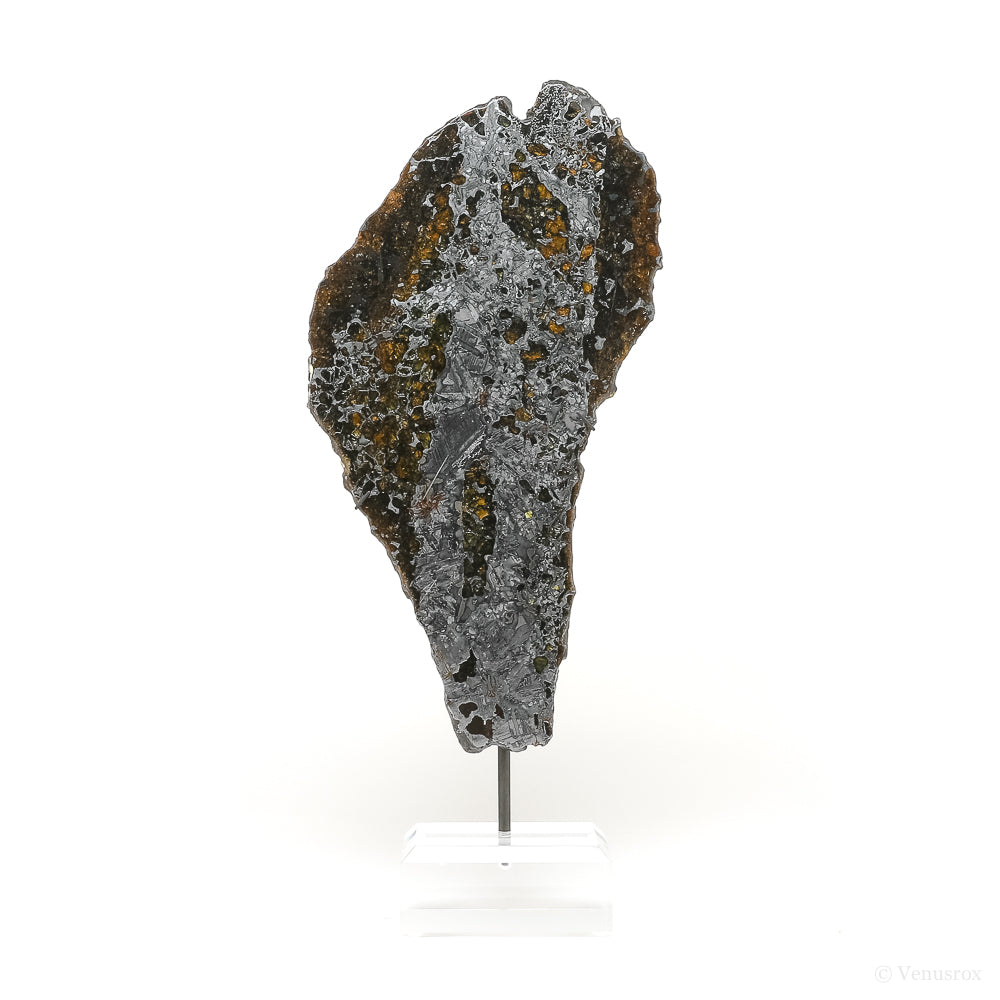Seymchan Pallasite Meteorite Polished Slice | Venusrox