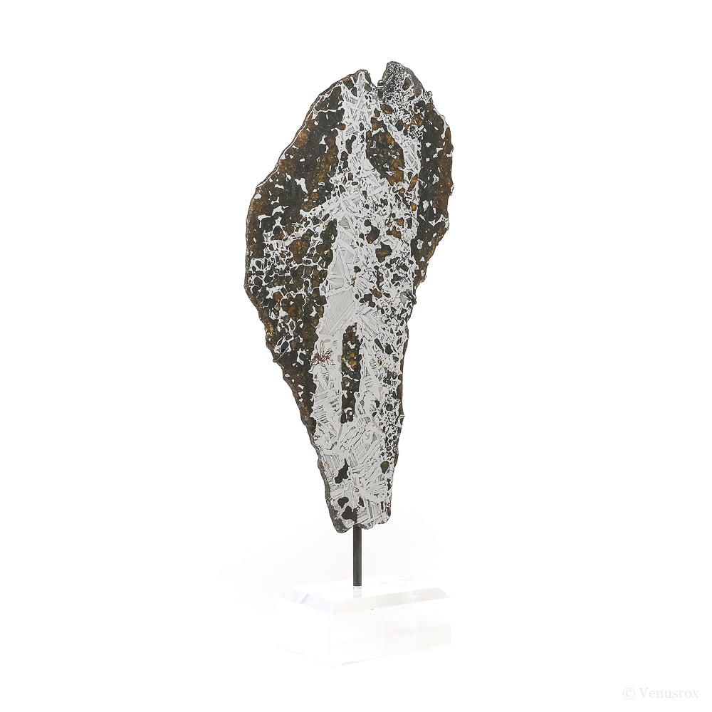 Seymchan Pallasite Meteorite Polished Slice | Venusrox