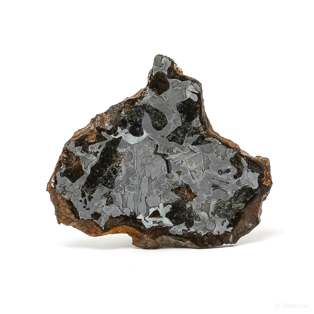 METEORITE (SEYMCHAN PALLASITE) POLISHED SLICE - METEORITES
