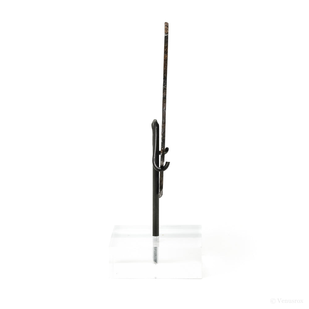 Seymchan Pallasite Meteorite Polished Slice from the Hekandue River, Jasačnaja, Magadan District, Russia mounted on a bespoke stand | Venusrox