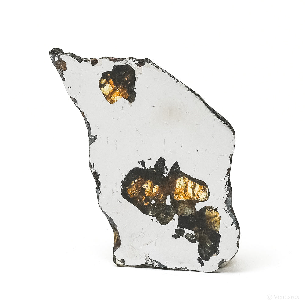 METEORITE (SEYMCHAN PALLASITE) POLISHED SLICE - METEORITES