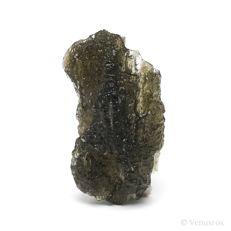Moldavite Natural Crystal from Chlum, Czech Republic | Venusrox