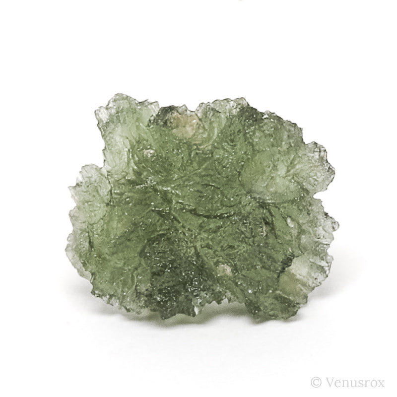 Moldavite Natural Crystal from Chlum, Czech Republic | Venusrox