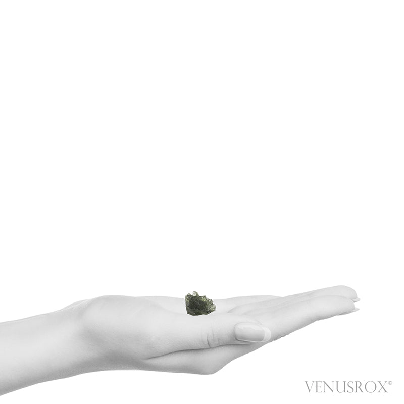 Moldavite Natural Crystal from Chlum, Czech Republic | Venusrox