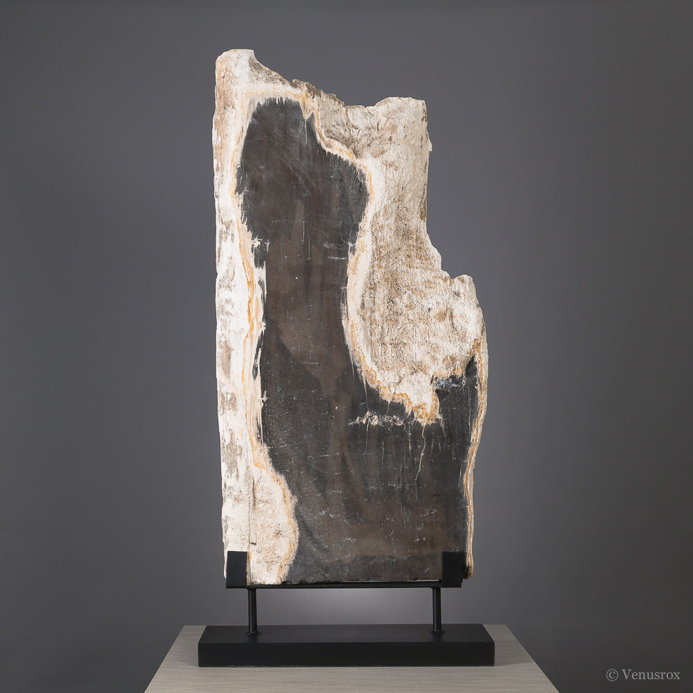 Petrified Wood Part Polished/Part Natural Slice from Indonesia mounted on a bespoke stand | Venusrox
