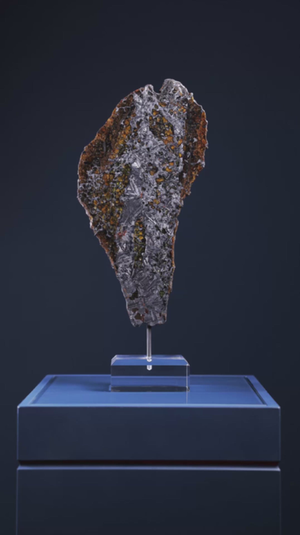 Seymchan Pallasite Meteorite Polished Slice | Venusrox