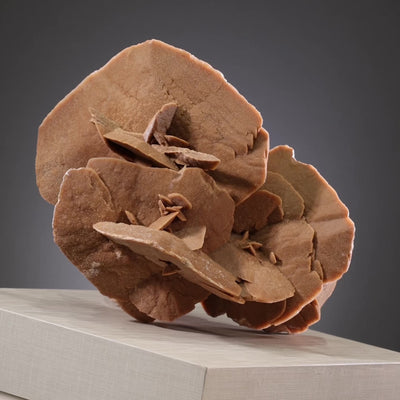 Desert Rose Natural Cluster from Tunisia mounted on a bespoke stand | Venusrox