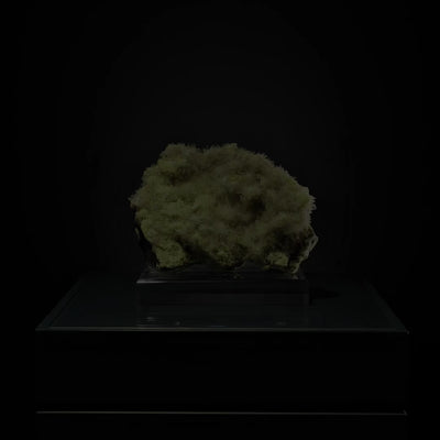 Sulphur with Celestite Natural Specimen from the Machów Mine, Tarnobrzeg, Subcarpathian Voivodeship, Poland mounted on a bespoke stand | Venusrox