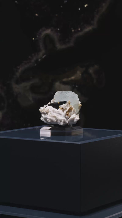 Aquamarine & Muscovite on Black Tourmaline & Albite Natural Cluster from Skardu, Gilgit-Baltistan, Pakistan | Venusrox