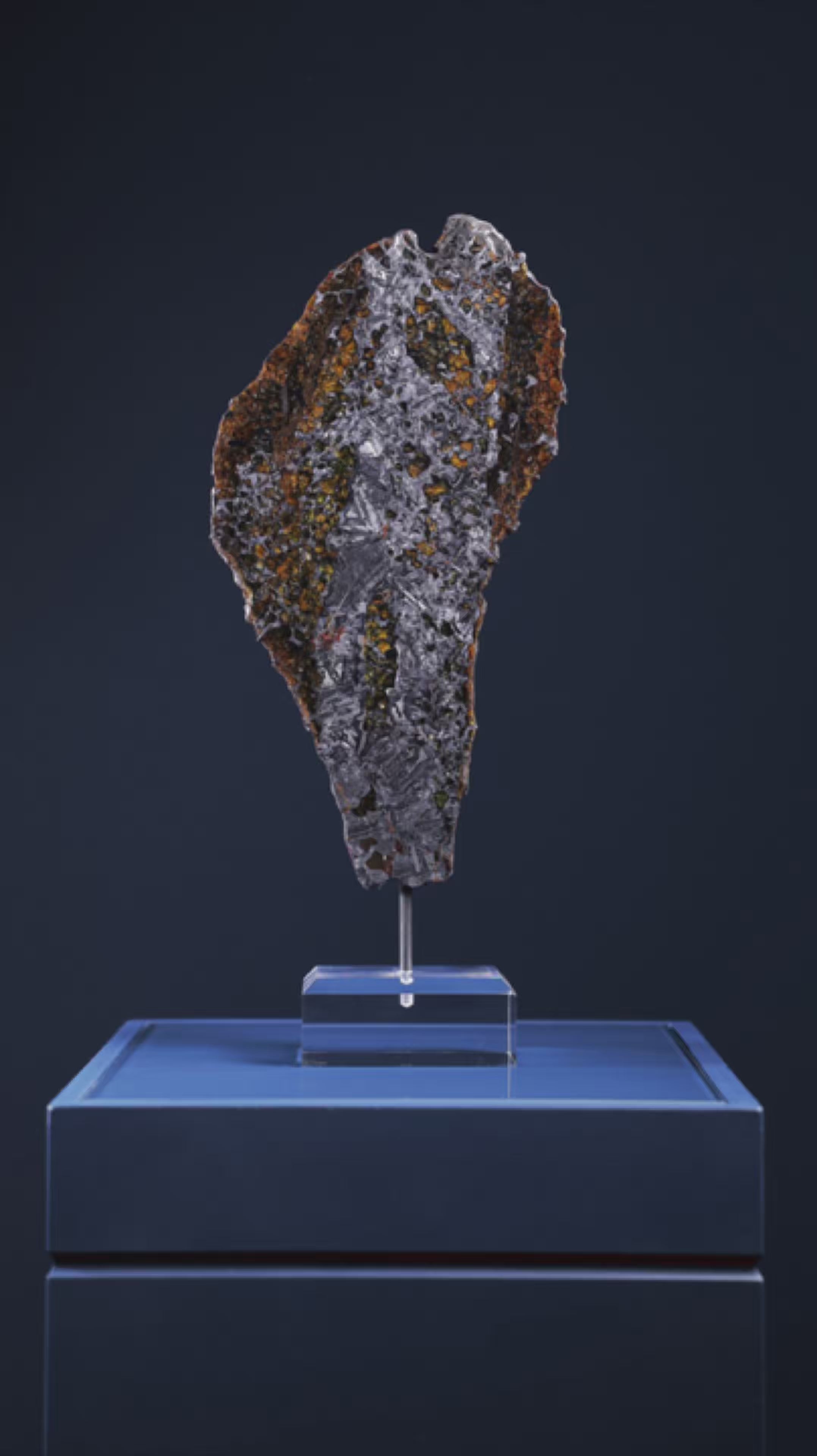 Seymchan Pallasite Meteorite Polished Slice | Venusrox