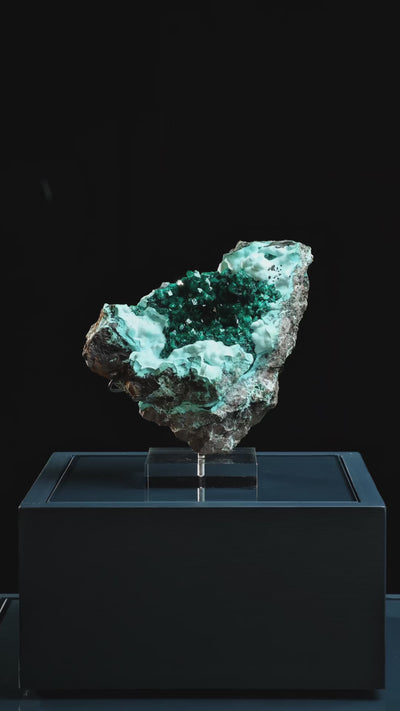 Dioptase with Chrysocolla on Matrix Natural Cluster | Venusrox