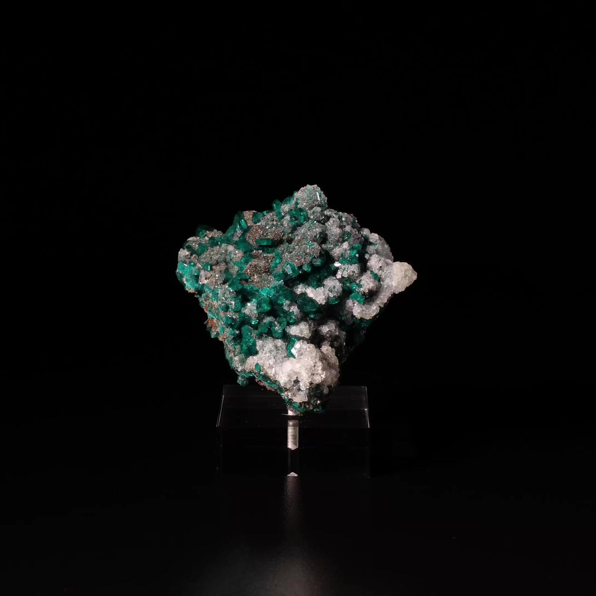 Dioptase with Calcite on Matrix Natural Cluster from Renéville, Kindanba District, Pool Department, Demacratic Republic of the Congo mounted on a bespoke stand | Venusrox