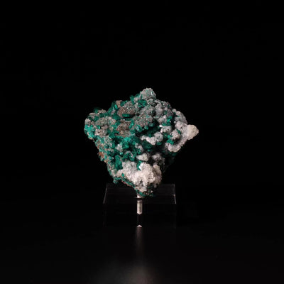 Dioptase with Calcite on Matrix Natural Cluster from Renéville, Kindanba District, Pool Department, Demacratic Republic of the Congo mounted on a bespoke stand | Venusrox
