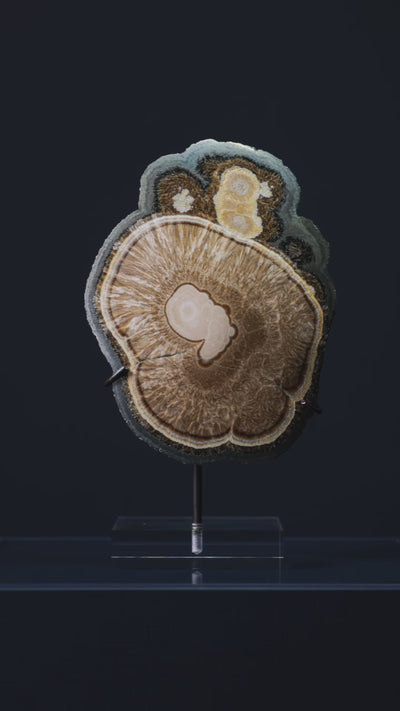 Barite & Marcasite Polished/Natural Crystal from the Lubin Mine, Silezia, Poland mounted on a bespoke stand | Venusrox