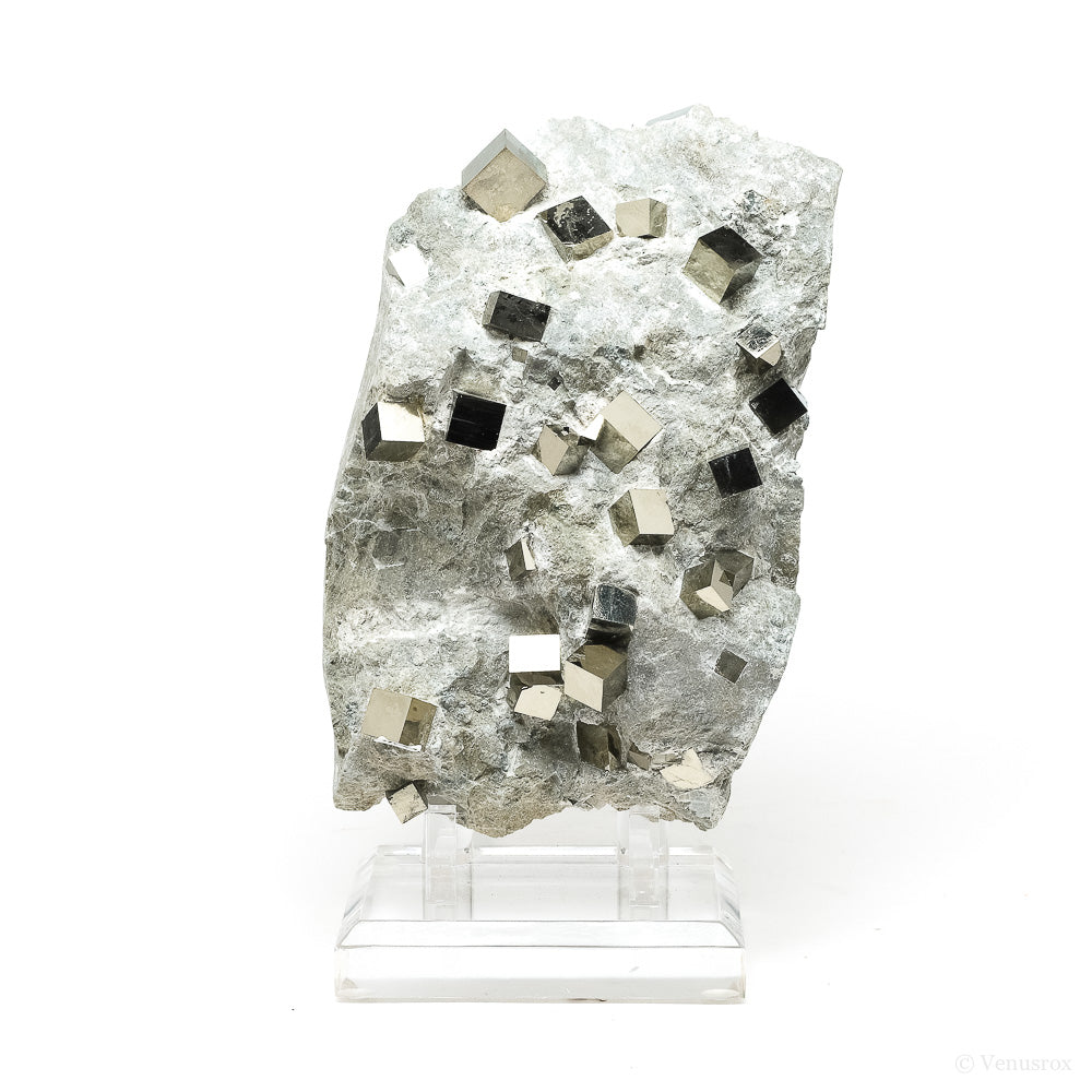 Pyrite Cubes in Matrix from Navajun, La Rioja, Spain mounted on a stand | Venusrox