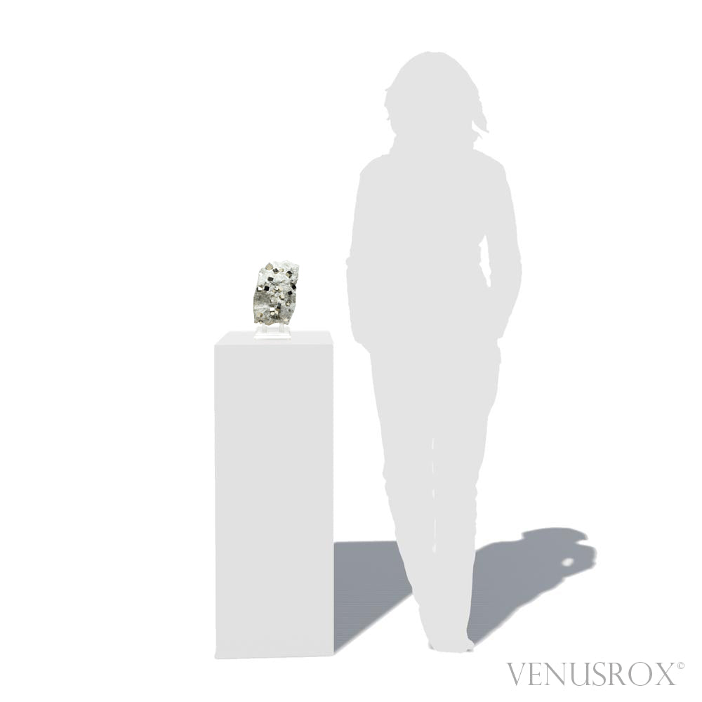 Pyrite Cubes in Matrix from Navajun, La Rioja, Spain mounted on a stand | Venusrox