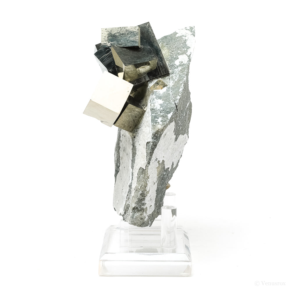 Pyrite Cubes in Matrix from Navajun, La Rioja, Spain mounted on a stand | Venusrox