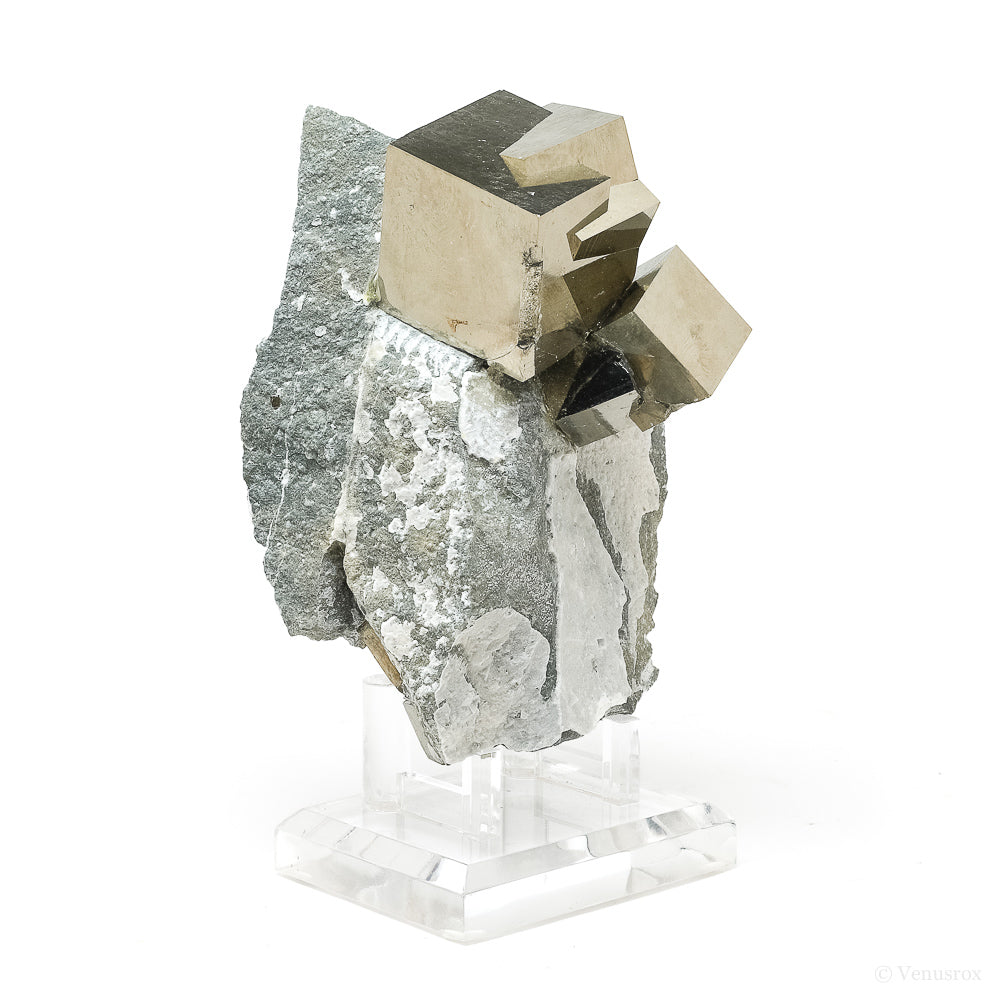 Pyrite Cubes in Matrix from Navajun, La Rioja, Spain mounted on a stand | Venusrox