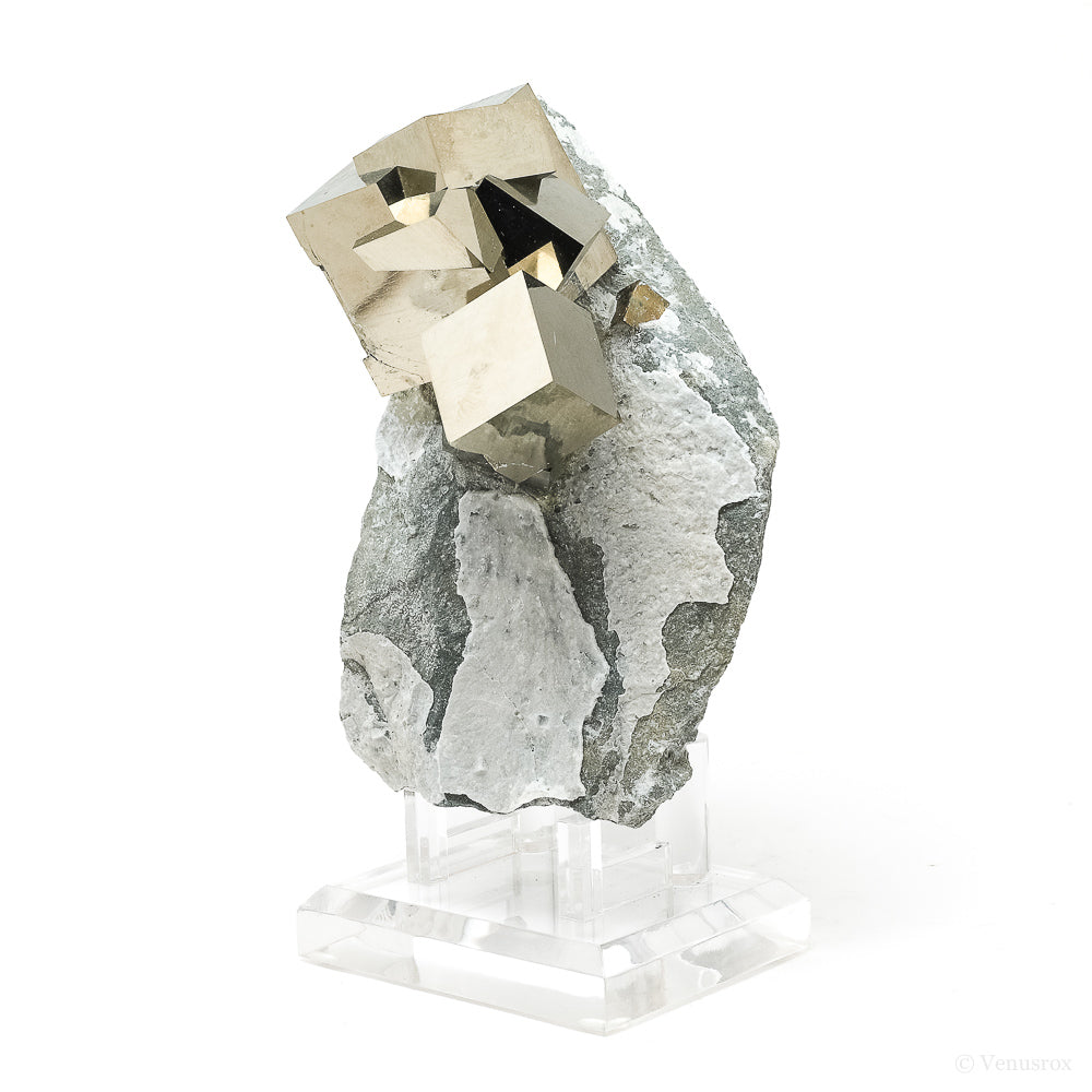 Pyrite Cubes in Matrix from Navajun, La Rioja, Spain mounted on a stand | Venusrox