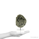 Pyrite Half Nodule from Le Mans, Sarthe, France mounted on a bespoke stand | Venusrox
