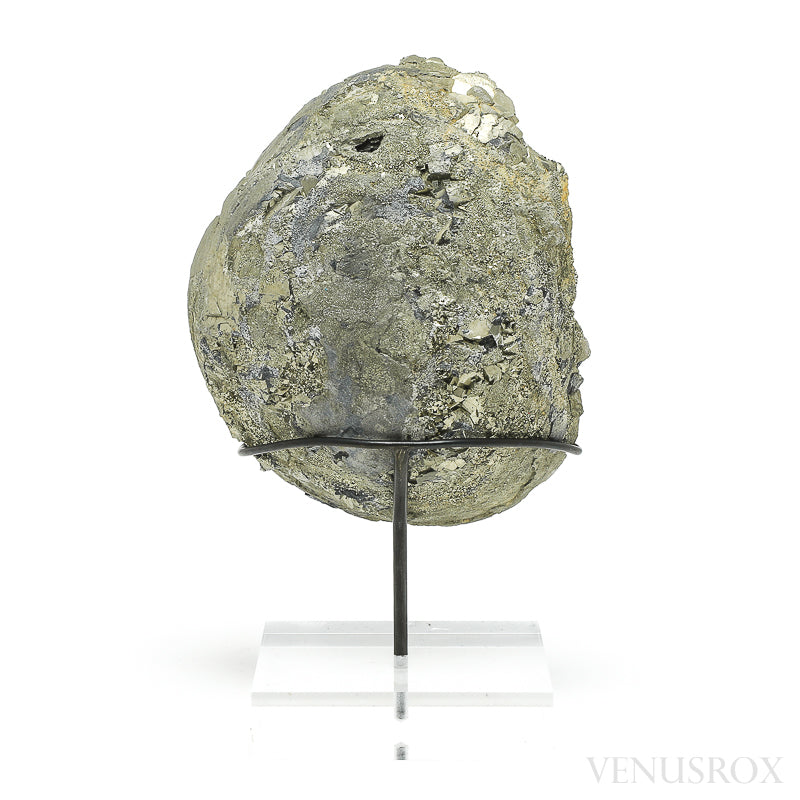 Pyrite Half Nodule from Le Mans, Sarthe, France mounted on a bespoke stand | Venusrox