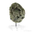 Pyrite Half Nodule from Le Mans, Sarthe, France mounted on a bespoke stand | Venusrox